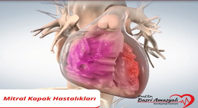 Kardiyoloji Uzmanı Prof. Dr. Basri Amasyalı'dan 'Mitral kapak hastalıkları' hakkında önemli bilgiler