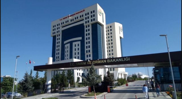 Tarım ve Orman Bakanlığı, sağladığı desteklerle organik üretim ve tüketimi artırıyor