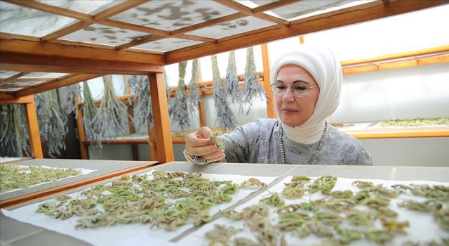 Emine Erdoğan, Türkiye'nin ilk tıbbi bitki bahçesini gezdi