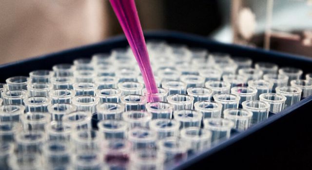 Japonya'dan 'antikor kokteyline' onay