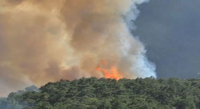 Aydın’daki yangın kontrol altında