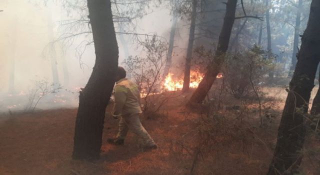 PKK orman yangınlarını bakın nasıl ayarlamış!