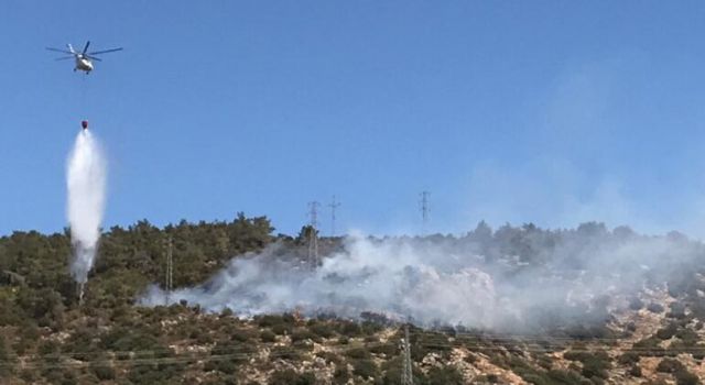 Son dakika.. Bodrum'da ormanlık alanda yangın!