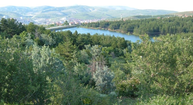 Kültür ve Turizm İl Müdürlüğü, Yozgat'ta önemli bir çalışma başlattı