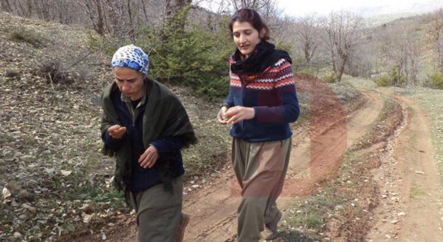 HDP'li Semra Güzel'in PKK kampından yeni fotoğrafları gündeme düştü