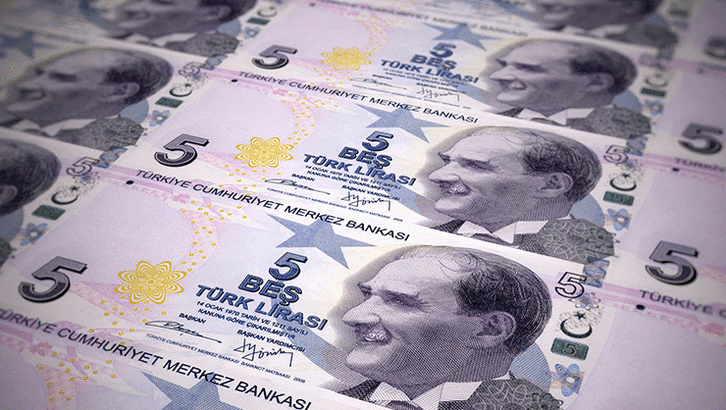 5 TL'lik banknotlarda değişikliğe gidiliyor