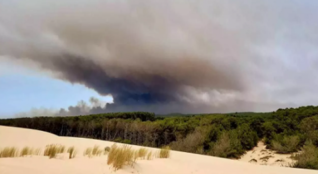 Fransa'da orman yangınları!