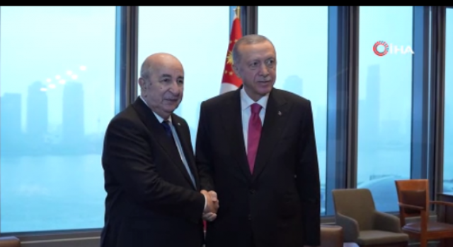Cumhurbaşkanı Erdoğan, Cezayir Cumhurbaşkanı Tebbun ile görüştü