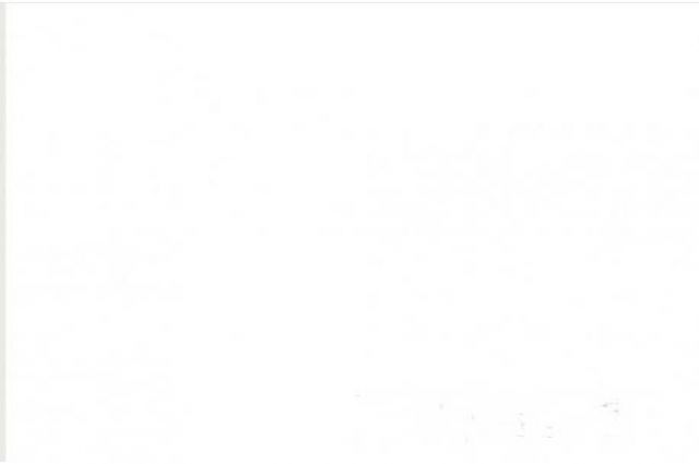 DOLMA KALEM KULLANAN KÖŞE YAZARLARI