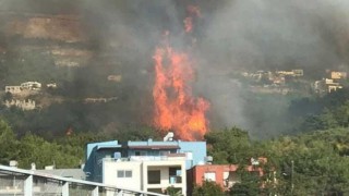 AFAD'dan Hatay ve Mersin'deki yangınlarla ilgili açıklama
