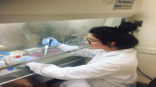 Dünya Türk bilim insanlarını konuşurken, Birde buna yenisi eklendi!! Türk bilim insanı Polen Koçak, kansere karşı geliştirdiği yeni nesil ilaçlarla dünyada parmakla gösteriliyor!