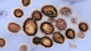 Kovid-19'un bir genetik mutasyonu virüsü daha bulaşıcı hale mi getirdi?