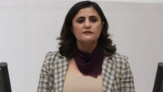 Gara'ya giden HDP'li vekil hakkında soruşturma başlatıldı!