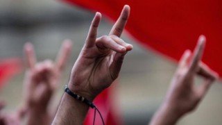 Alman muhalefet Sol Parti, Federal Hükümete Ülkücüleri sordu.. Türkiye'deki hükümet ittifakı içinde MHP'nin rolü ne? MHP'nin etkisi ittifak süresince değişti mi değişmedi mi?