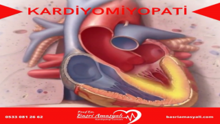 Kardiyoloji Uzmanı Prof. Dr. Basri Amasyalı'dan 'Kardiyomiyopati' hakkında önemli bilgiler