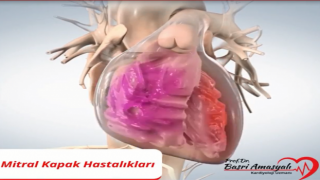 Kardiyoloji Uzmanı Prof. Dr. Basri Amasyalı'dan 'Mitral kapak hastalıkları' hakkında önemli bilgiler