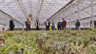 Milli Eğitim Bakanı Selçuk: "Bir hayalle yola çıktık" dedi...