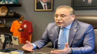 AK Parti'li Menekşe'den gündeme dair değerlendirmeler