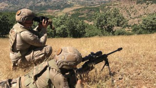 İçişleri Bakanlığı: Bitlis'te 1 terörist etkisiz hale getirildi