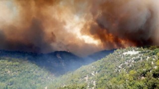 18 kentte ormanlara giriş yasaklandı!