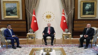 Cumhurbaşkanı Erdoğan, Malezya Bakanı Ali'yi kabul etti