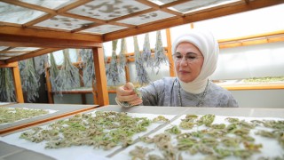 Emine Erdoğan, Türkiye'nin ilk tıbbi bitki bahçesini gezdi