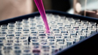 Japonya'dan 'antikor kokteyline' onay