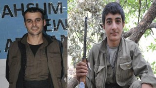 Türkiye'de eylem planlayan 2 PKK etkisiz hale getirildi