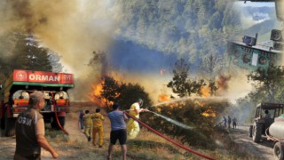 208 orman yangınından 196'sı kontrol altına alındı