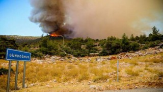 Antalya yangınları kontrol altına alındı
