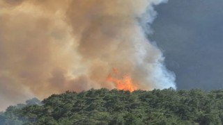 Aydın’daki yangın kontrol altında