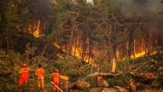 Devam eden orman yangınları hangileri?