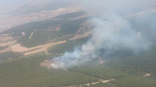 Foça'da orman yangını!