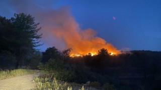 Muğla Seydikemer'de yangın kontrol altına alındı