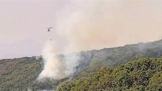 OGM'den Tunceli'deki yangınla ilgili açıklama!