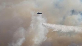 Son dakika: Köyceğiz'de başlayan orman yangını, Denizli sınırına doğru yaklaştı