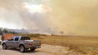 Son dakika: Manavgat’ta orman yangını