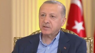 Yanan ormanlarımız küllerinden yeniden doğacak