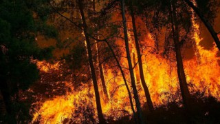Yangınlarla ilgili son durum ne?