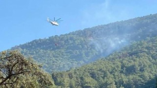 Muğla Milas'ta çıkan orman yangınına müdahaleler sürüyor