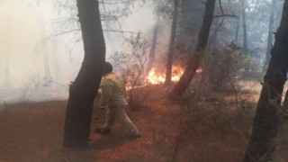 PKK orman yangınlarını bakın nasıl ayarlamış!