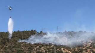 Son dakika.. Bodrum'da ormanlık alanda yangın!