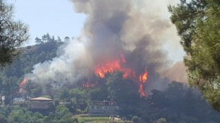 Son dakika: Manavgat'ta orman yangını!