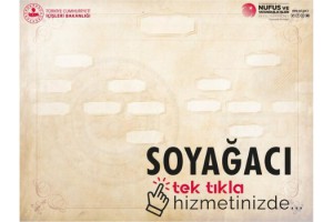 Soy ağacı hizmetinde yeni uygulama! 'Oluşturabilecekler'