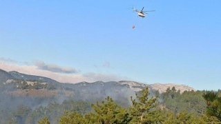 Adana'da çıkan orman yangını kontrol altına alındı