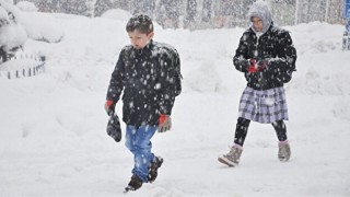 Van'ın 3 ilçesinde taşımalı eğitim veren okullara ara verildi