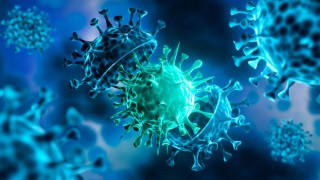 Yeni bir varyant daha ortaya çıktı! Bu seferde Delmicron tehlikesi baş gösterdi!