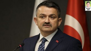 Pakdemirli'nin istifası sonrası, Tarım ve Orman Bakanlığı'nda FETÖ operasyonu başlatıldı