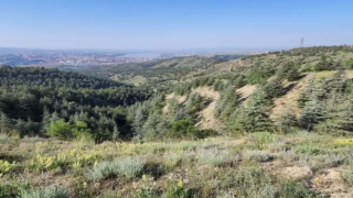 MHP’li Murat Ilıkan’dan erken tedbir uyarısı