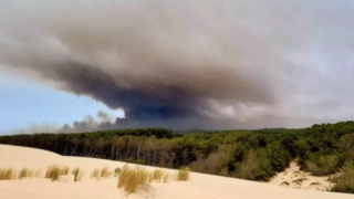 Fransa'da orman yangınları!